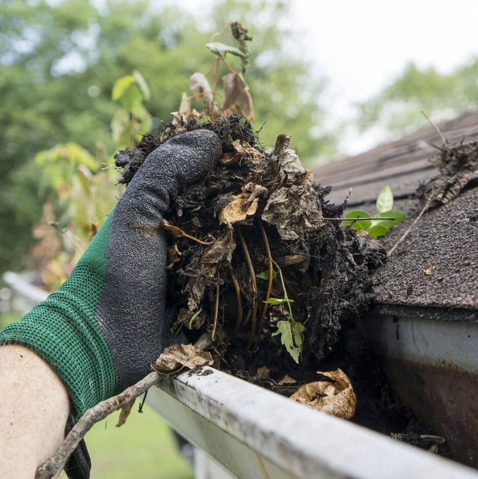 Standard Gutter Cleaning
