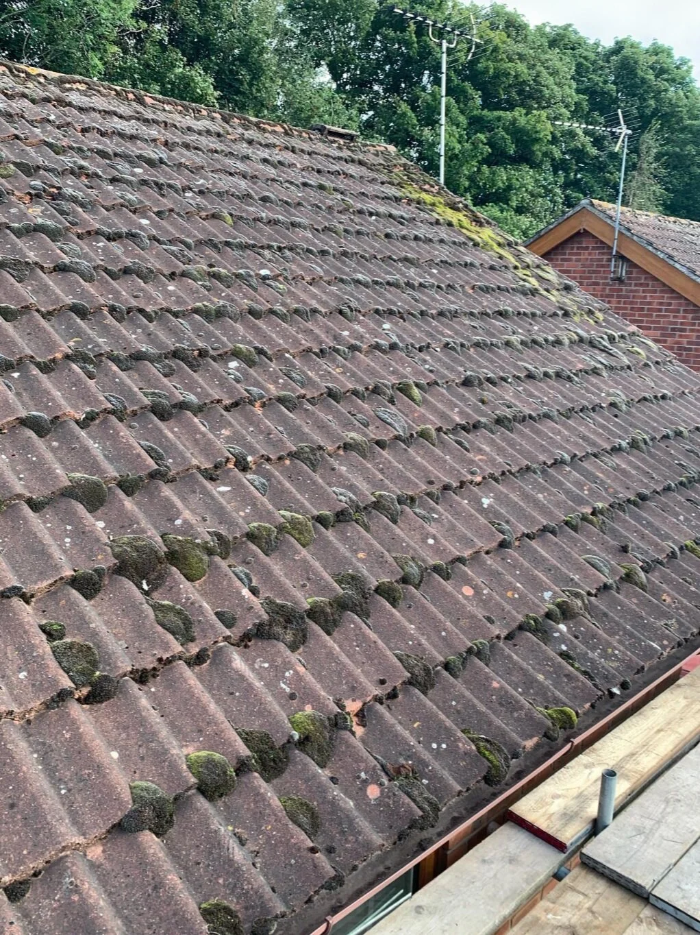 Algae Treatment